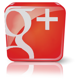 FUMIGACION ECONOMICA EN BOSQUE REAL ISOLA